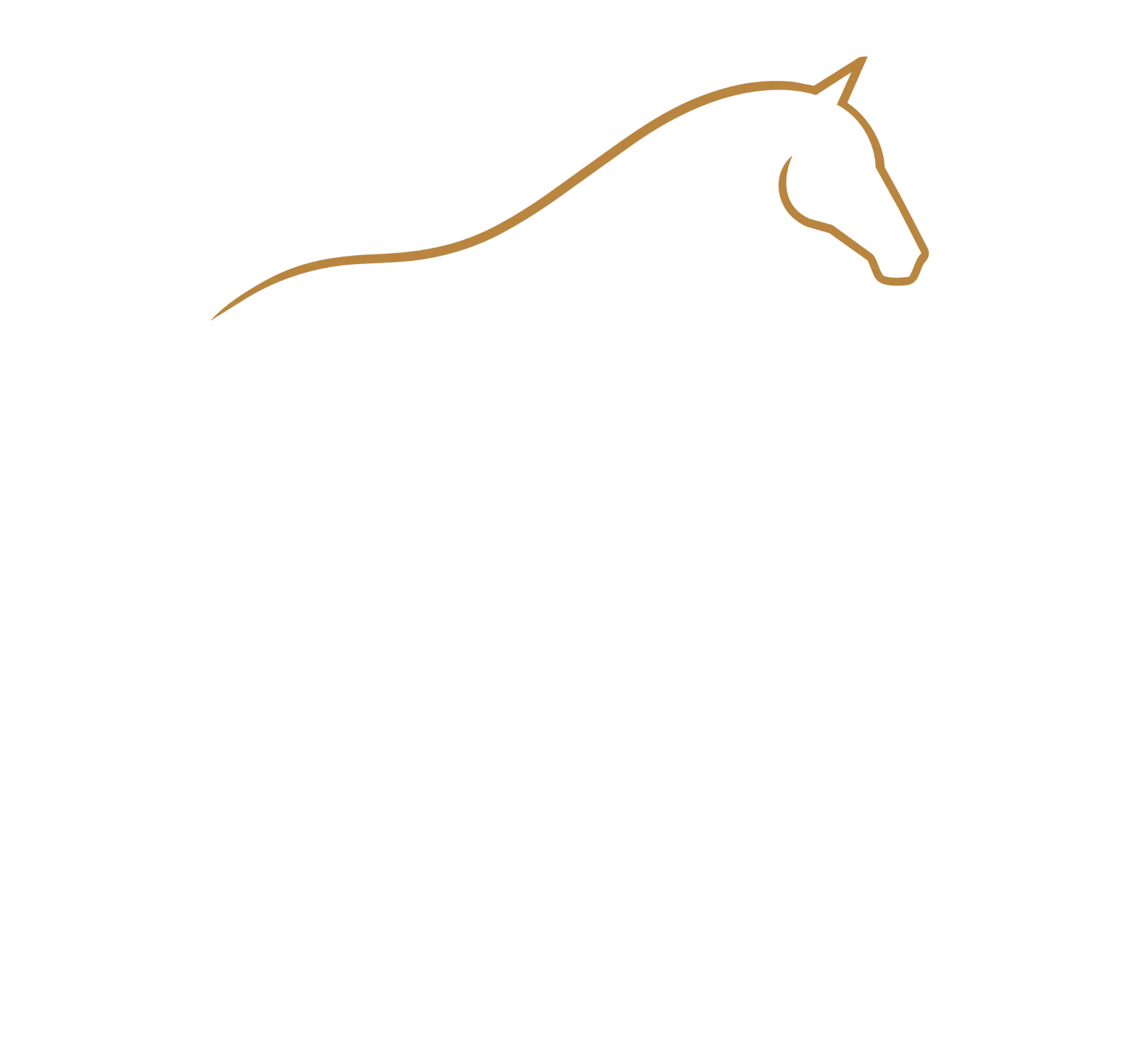GALO