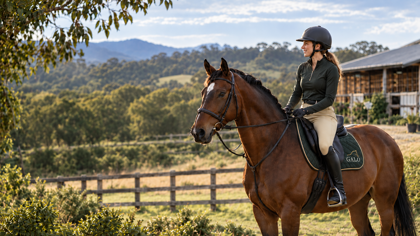 A rider and horse in an Australian rural setting